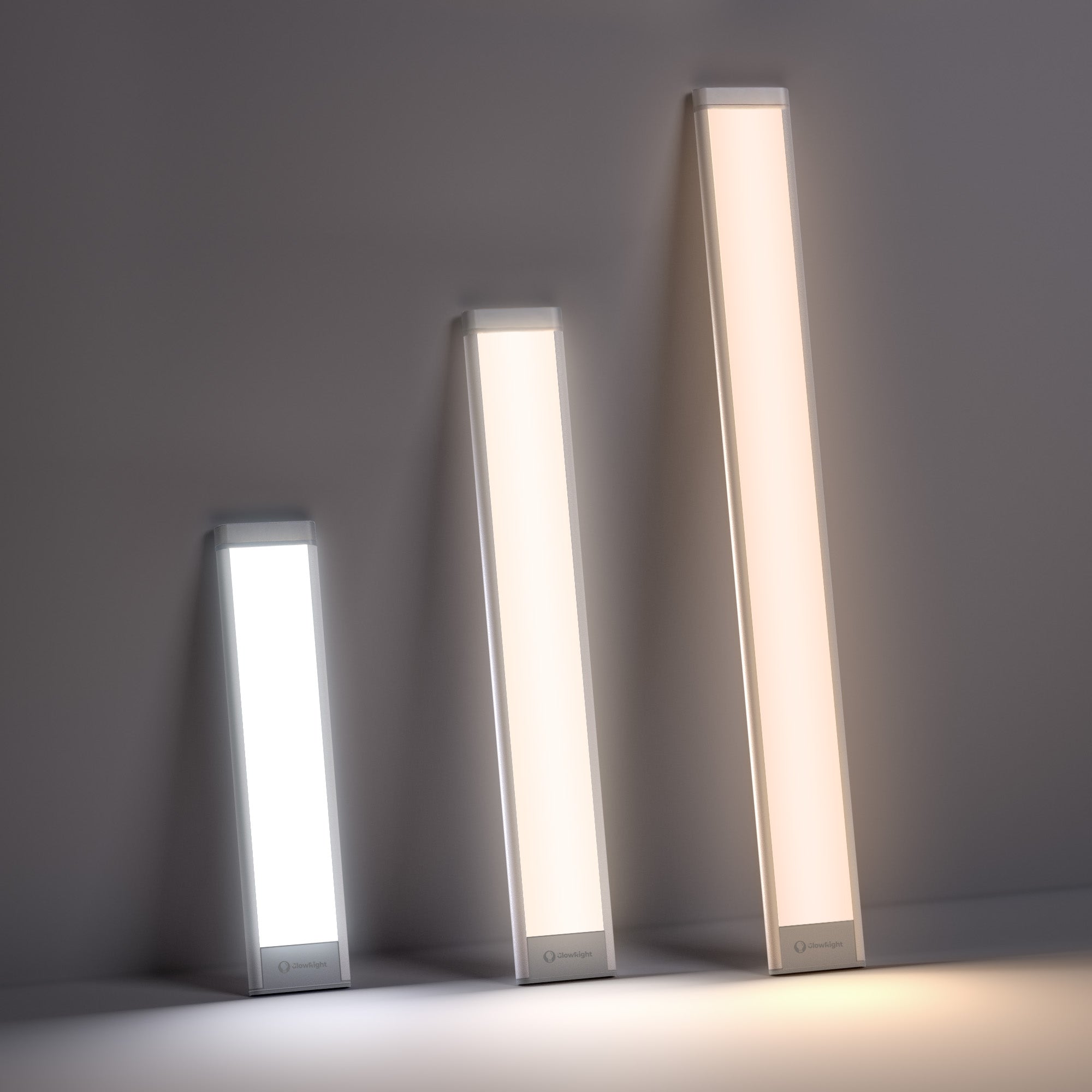 Smart+ Everywhere Light